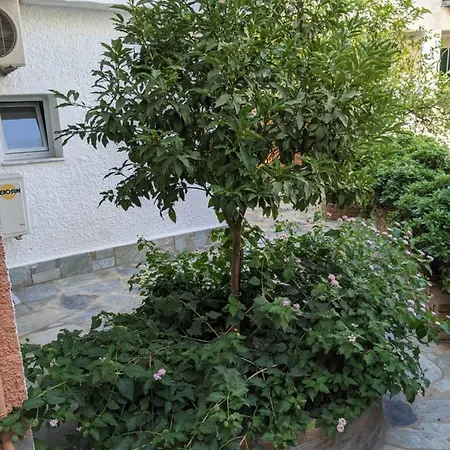 Omirico Gouvia