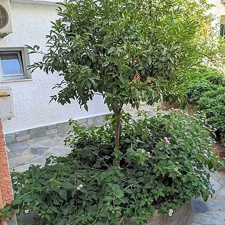 Hotel apartamentowy Omirico
