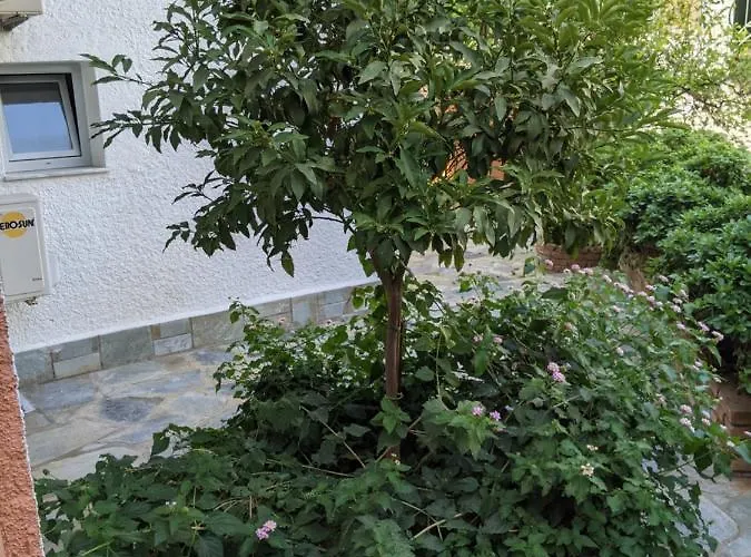 Omirico Gouvia